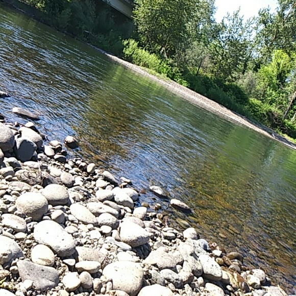 Vans maybe - Picture 1 of 1